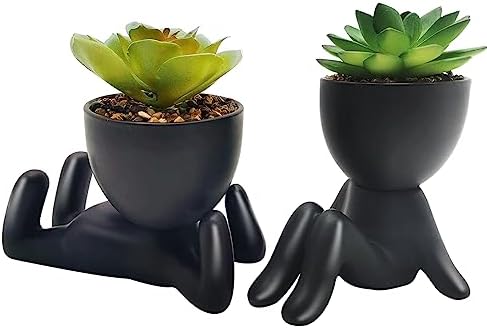 Der Rose 2Pcs Fake Hanging Plants Artificial Succulents Faux Plants In - View #13