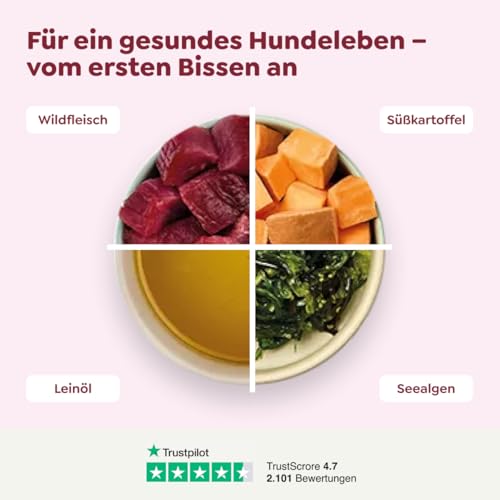 WOW Dog Hunde-Nassfutter mit Wild | Enthält Vitamine und Mineralien, ohne Getreide und Zucker | 150 g / 22er Pack