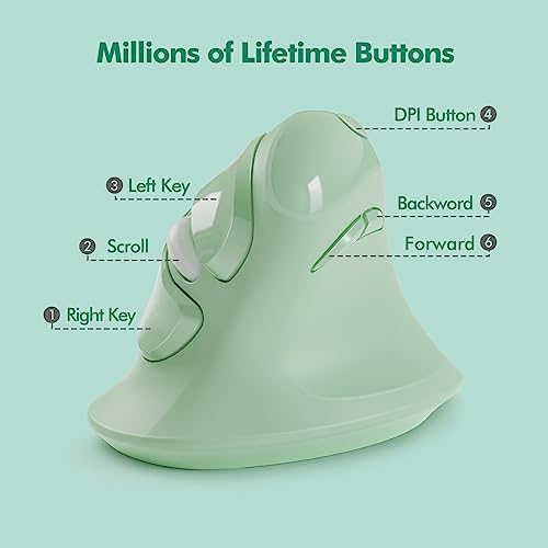 MicroPack Ergonomic Vertical Wireless Mouse, Silent Cordless Mouse with USB-A & Type-C Receiver, 800/1200/1600 DPI, 6 Buttons, Reduces Wrist Strain for Windows, Mac, PC & Laptop Green by MICROPACK Digitally Yours - Image 5