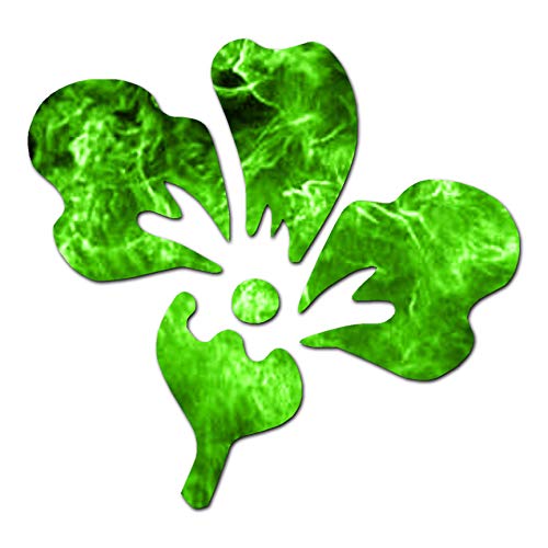 Iris Flower - Vinyl Decal Sticker - 6" x 5.75" - Green Flames