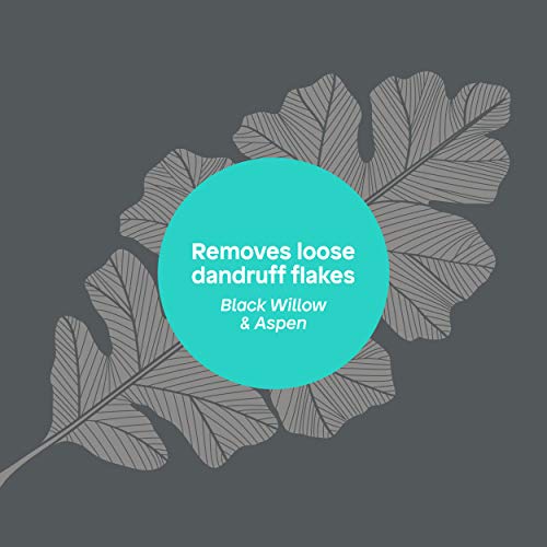 Attitude 2In1 Shampoo And Body Wash, Ewg Verified, Plant And Mineral-Based Ingredients, Vegan And Cruelty-Free Personal Care Products, Scalp Care, Black Willow And Aspen, 16 Fl Oz #TOP3