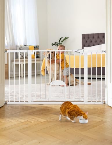 Babelio 36.5-57