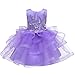 LuckyGirls Princesse Robe Filles Robes Formelles Mariage Filles Robe Manches Courtes brodé Dentelle élégante Robes décontractées