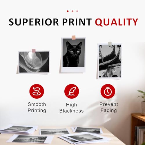 Image of 260XL PG-260XL Black Ink Cartridge Replacement for Canon 260 PG-260 PG 260 XL Black Compatible with Pixma TS6420a TS6420 TR7020a TS5300 TS5320 TR7020 Printer Ink Cartridges (1 Black)