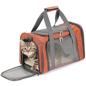 Mr. Pen- Pet Carrier, Cat Carrier, Dog Carrier, Cat Bag Carrier, Cat Travel Carrier, Soft Cat Carrier, Dog Travel Carrier, Pet Travel Carrier, Dog Soft-Sided Carriers, Cat Carrier Bag