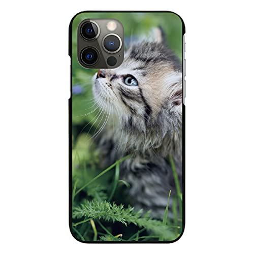 AQUOS sense10 SH-M33 p P[X ubN Jo[ X}zP[X X}zJo[ ^ sc776(C) L ˂ lR  Aj} gуP[X gуJo[ n[h v