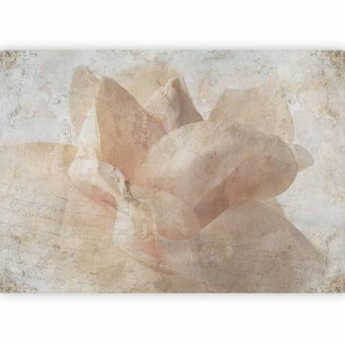 artgeist Wall Mural Flowers Floral 98x69 in - Non-Woven Wallpaper Fleece Wall Decor Photo Print Picture Image Design Home Mural Rose Roses Concrete b-C-10348-a-a