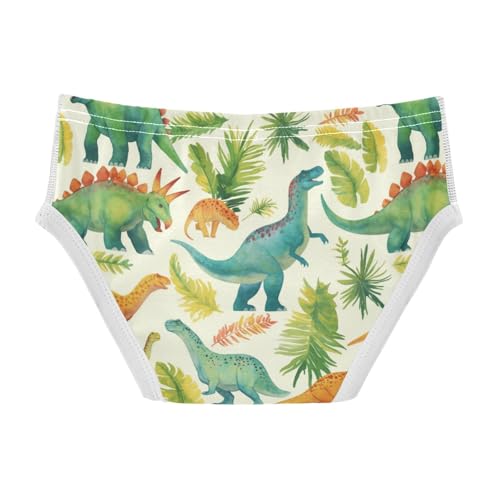 Wusikd Watercolor Dinosaurs Boys' Underwear Cotton Palm Leave Trees Boys Briefs Soft Toddler Underwear 2T2