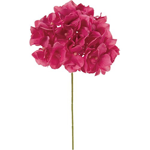 ������ ���� MAGIQ �A���X�n�C�h�����W�A �r�r�b�h�r���[�e�B �Ԗ[�a12×L23�p FM025048-216