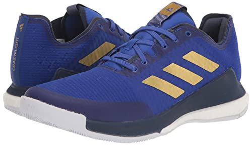 adidas Crazyflight Tênis masculino de atletismo, Azul lúcido/ouro fosco/azul marinho, 11