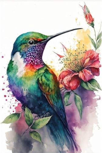 Image of Hummingbird Stamped Cross Stitch Kits,Needlepoint Cross-Stitch Patterns Dimensions Needlecrafts Embroidery Kits,DIY Art Bird Home Wall Decor Perfect for Relaxation 15.7x11.8 Inches