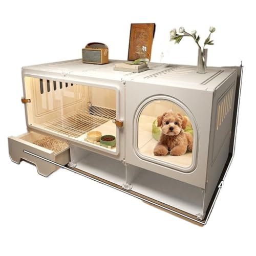 Yecox  P[W ybg  P[W Zbg o gC gݗ ȒP | ₷ ʋC bg ``   vC T[N pr g₷ (zCg,LTCY)