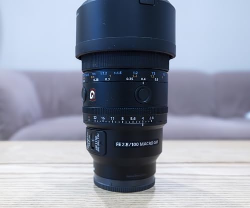 Sony FE 100mm F2.8 Macro GM OSS SEL100M28GM