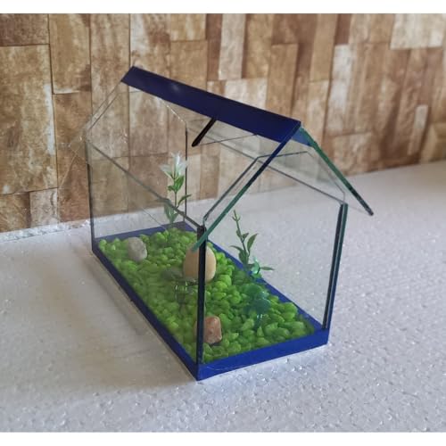 Aquario Beteira Para Peixe Betta Casinha II Decorada (Vermelho)