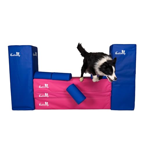 Callieway Turnier Agility Mauer „Bounce Over - Soft“ – alle FCI Sprunghöhen (Fuchsia/blau)