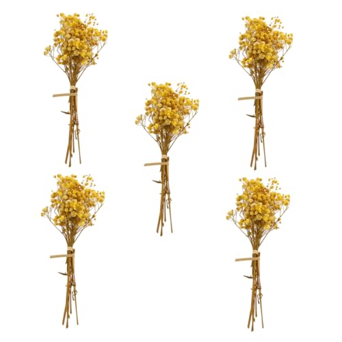 5 Piezas Ramo Seco de Gypsophila Natural Amarillo miniatura 1