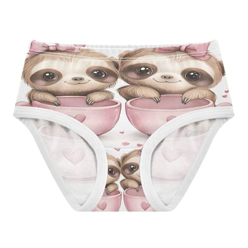 Cute Sloth Valentine's Day Toddler Girls's Underwear 2T 202b8662