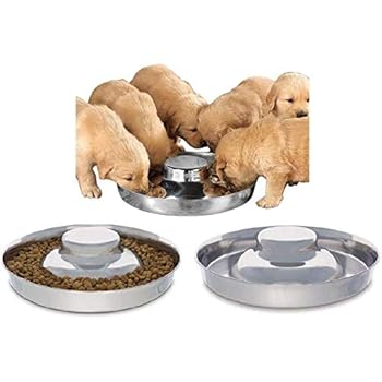 puppy feeding bowls for litters