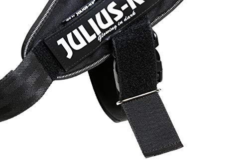 Idc Powerharness With Security Lock, Size: L/1, Black #TOP2