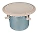 Ceiling Speaker INDIVID, 8