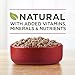 Purina ONE Wet Dog Food True Instinct Classic Ground Grain-Free Formula With Real Beef and Wild Caught Salmon High Protein Wet Dog Food - (Pack of 12) 13 oz. Cans