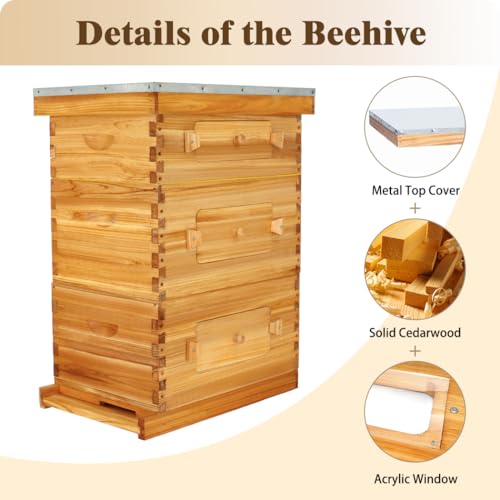 BeeCastle 10-Frame Langstroth Beehive with Windows, Beeswaxed Coated Bee Hive for Beginners with Beehive Frames and Waxed Foundations (2 Deep Bee Boxes & 1 Medium Super Bee Box) - Image 3
