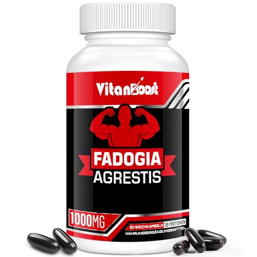 Fadogia Agrestis 1000mg Hochdosiert mit Zink & Ashwagandha für Männer ohne Zusätze (60 stück (1er Pack))