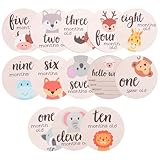 TEMPNAP Juego de Tarjetas Mensuales para Ñiño de Material Sintético, Accesorios para Photo Props en Shower, Tarjetas Redondas para Seguimiento del Crecimiento