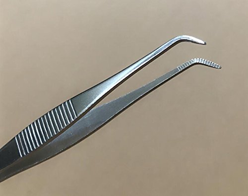 1 Set(2PCS)10cm/3.9'' Professional Stainless Steel Dental Forceps Tweezers-Multifunction Straight Tip and Curved Tip General Purpose Tweezer Eyebrow Removal Tool(Silver)
