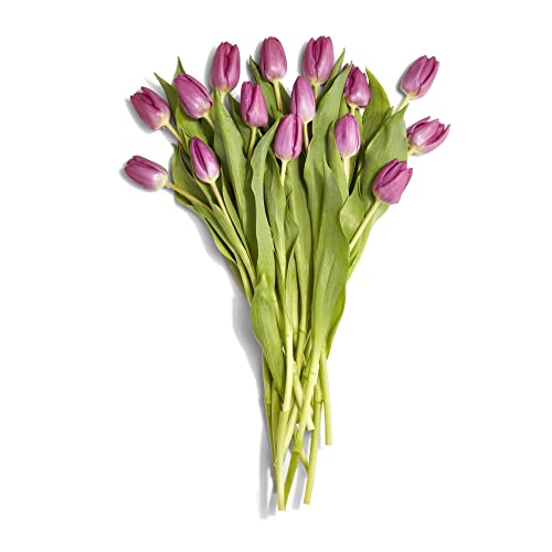 Floral Purple Tulips 15 Stem