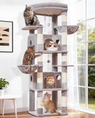 Taoqimiao 73in Heavy Duty Cat Tree