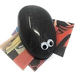 Rock Pet Adoption Kit with Googley Eyes and Dolly