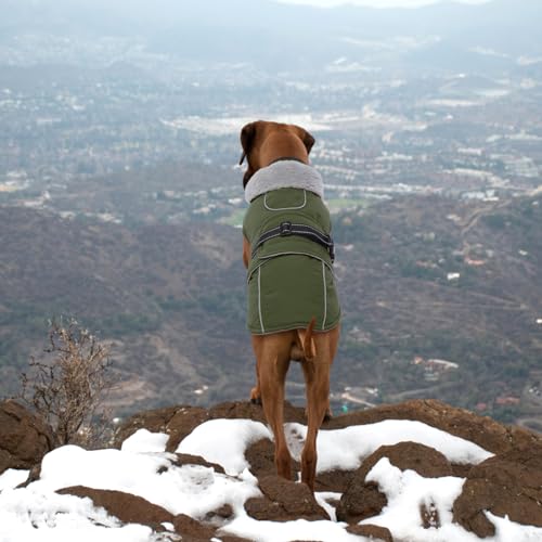 Lelepet Hundejacke Winter Warmer Hundemantel, Wasserdichter Wintermantel Fleece Hundeweste für Mittelgroße Hunde, Winddichte Hundebekleidung Outdoor Haustier Kostüm (Armeegrün, M)