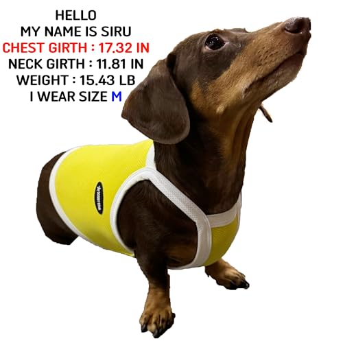 Playera fresca para perros talla M miniatura 2