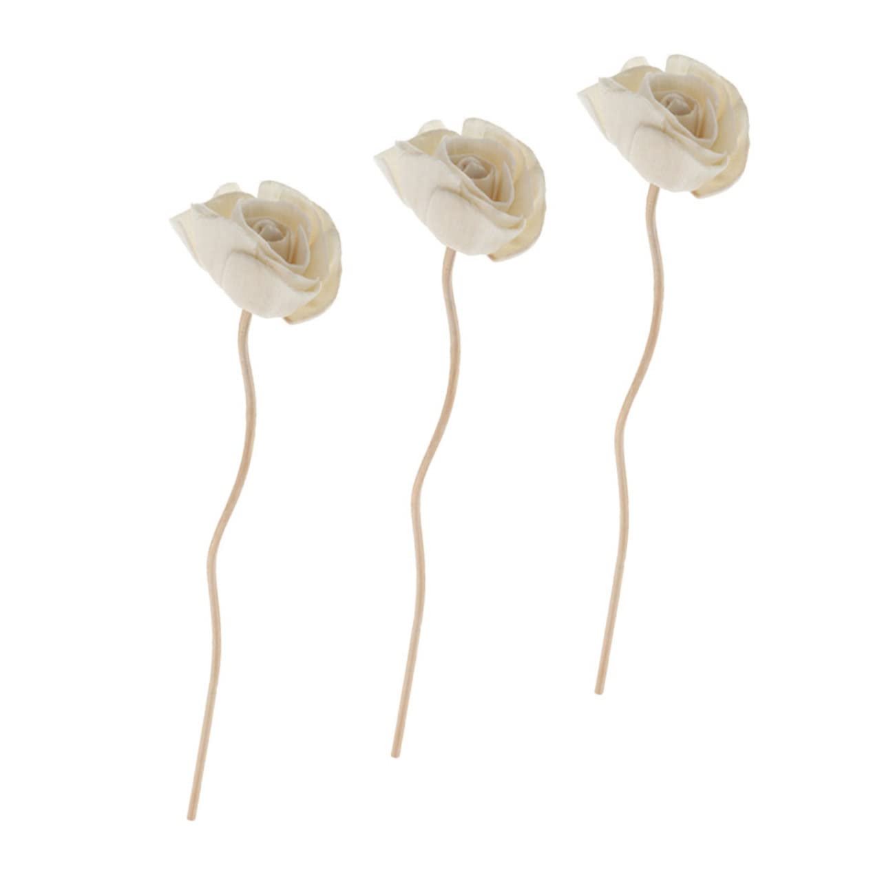 Abaodam 5 Set Eleganti Bastoncini Diffusori in Rattan Bastoncini Diffusori Per Profumi Naturali Per La Casa 3 Pezzi * 5