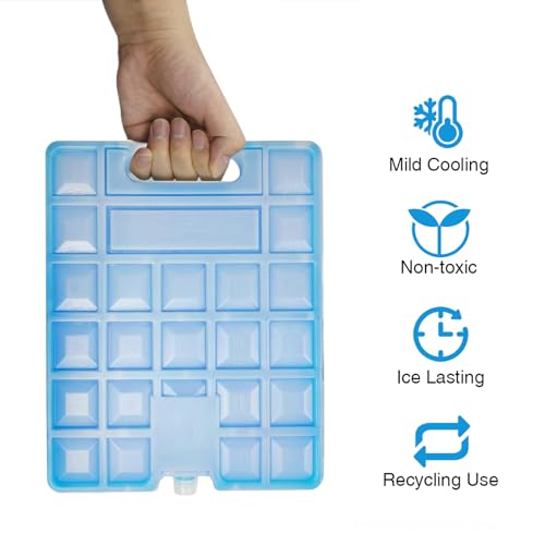Image of WORLD-BIO Large Reusable Freezer Ice Pack for Lunch Boxes, Coolers, Picnics, Camping, Fishing - 10 x 7.9 x 1.2 Inch