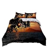 HGZGF Colchas Cama 135 Negro Y Naranja Funda Nordica Cama 135 Microfibra Funda Nordica Fundas Nordicas Transpirable Edredones Cama 135 Fundas Nordicas 135 Suave 2 X Fundas De Almohada