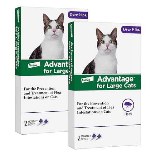 Advantage Topical Cat Flea Treatment and Prevention for Large Cats