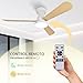 Imagen de Ventilador de Techo con Luz y Mando a Distancia 106cm