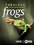 Nature: Fabulous Frogs