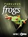 Nature: Fabulous Frogs