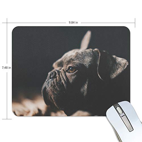 Preisvergleich Produktbild Mauspad MalpLENA Black Bulldog Premium texturiertes Mauspad, rutschfeste Gummiunterseite, für Laptop, Computer und PC