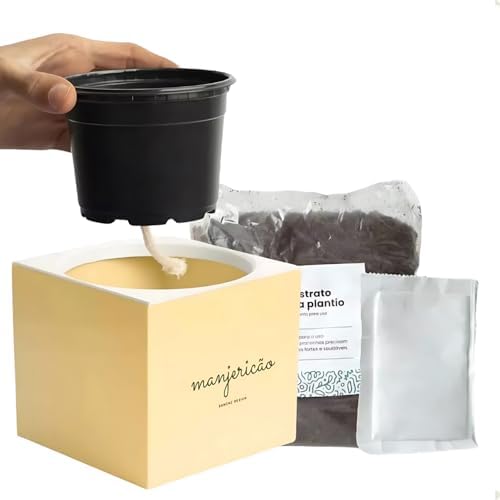 Kit Horta Urbana Vaso Autoirrigavel C/Substrato Semente Hortelã M...