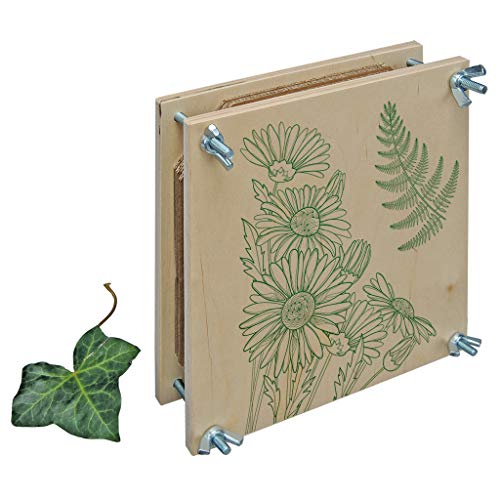 Wiemann Lehrmittel Kleine Pflanzenpresse, 6 Einlegeplatten, 19,5 x 19,5 x 4 cm