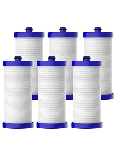 Image of Waterdrop WF1CB Replacement for Frigidaire® PureSource WFCB®, RG100, NGRG2000, WF284, 9910, 469906, 469910 Refrigerator Water Filter, 6 Filters