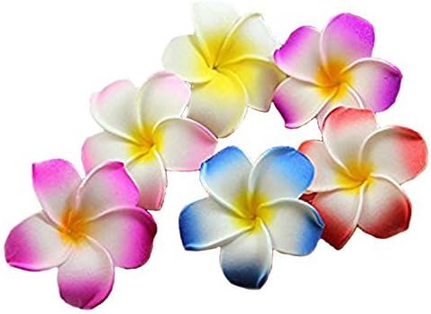 Calcifer 30pcs 1.97''Hawaii Hawaiian Plumeria Flower Clips Bridal Wedding Party Beach Hair Clips