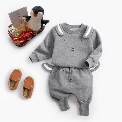 Toddler Baby Boy Girl Outfit Cartoon Dinosaur Long Sleeve Sweatshirt and Long Pants 2Pcs Winter Clothes2