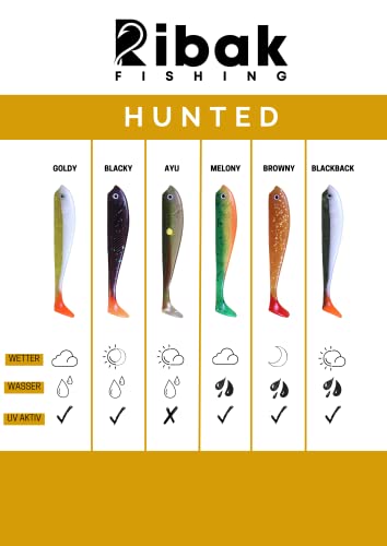 Foto von Ribak Gummifisch Set 30 Stück | Hunted Gummifische Set 10 cm | Köder für Barsch, Zander und Hecht | 30er Set - 6 Farbdekore