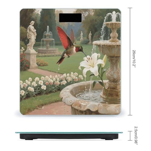 Báscula Digital de Baño Hummingbird Garden LCD 400 lb miniatura 2