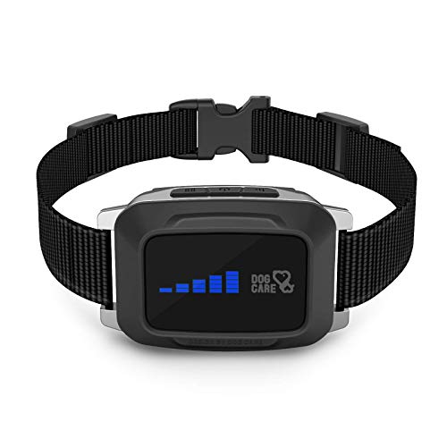 Best Dog Bark Collar Pets & Mindful Animal Owners